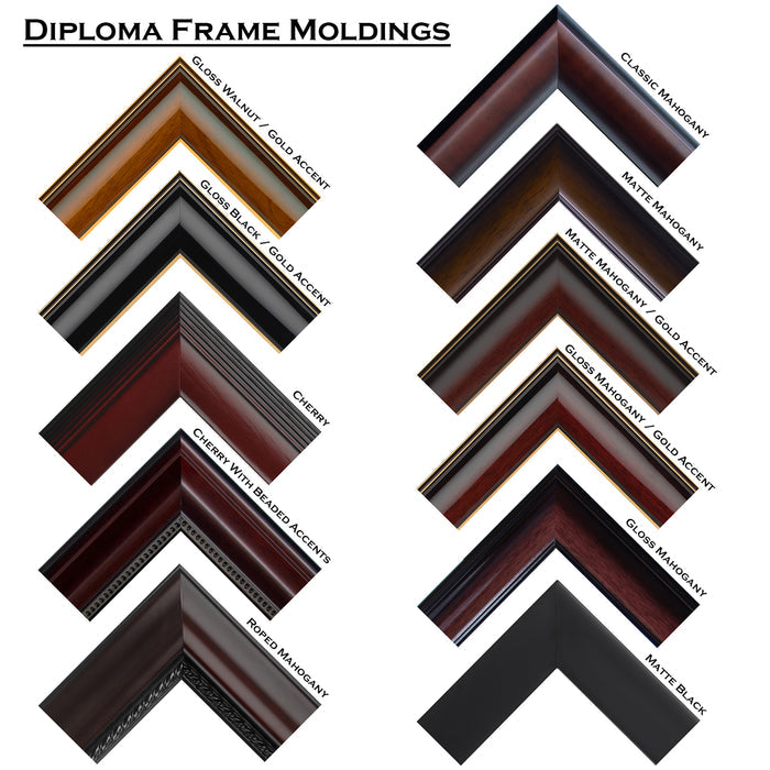 University of St. Augustine for Health Sciences Diploma Frame (DSN)