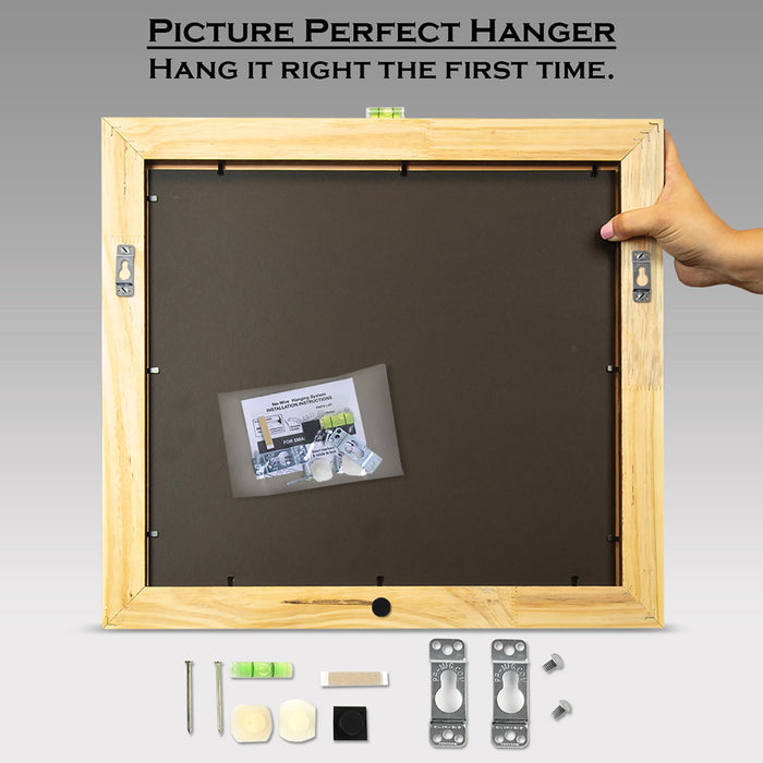 University of St. Augustine for Health Sciences Diploma Frame (DSN)