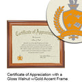 University of Texas Medical Branch Certificate with Frame