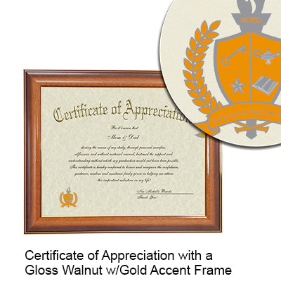 University of Texas Medical Branch Certificate with Frame