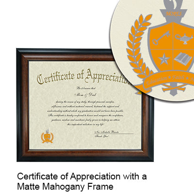 University of Texas Southwestern Medical Center at Dallas Certificate with Frame