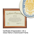 University of Toledo Certificate with Frame