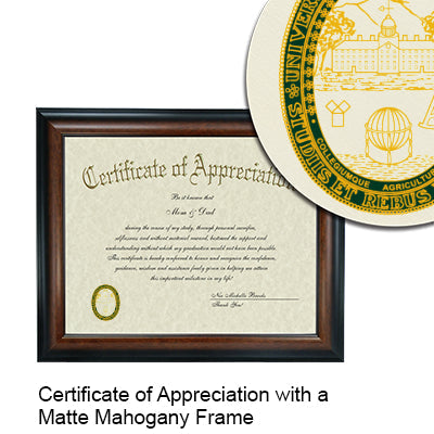 University of Vermont Certificate with Frame