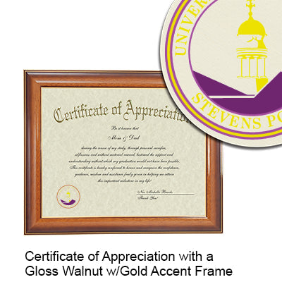 University of Wisconsin - Stevens Point Certificate with Frame