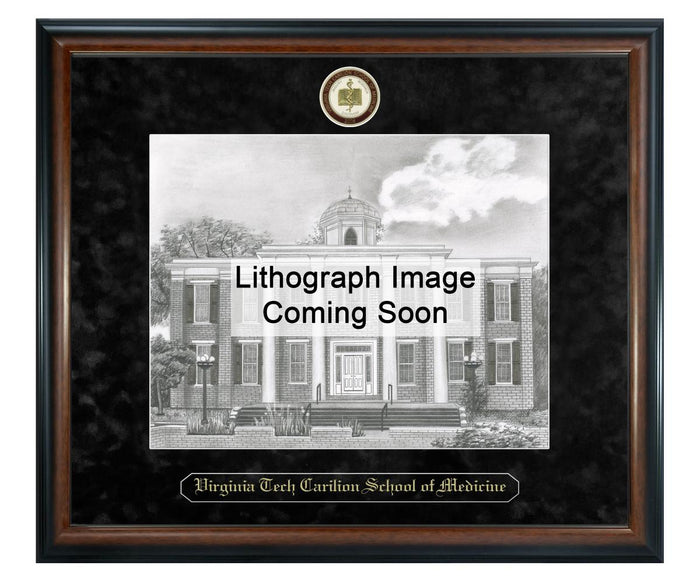 Virginia Tech Carilion School of Medicine Litho Frame,Diploma Frame (XSNL)