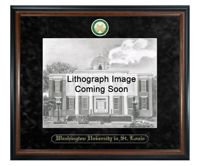 Washington University in St. Louis Litho Frame,Diploma Frame (XSNL)