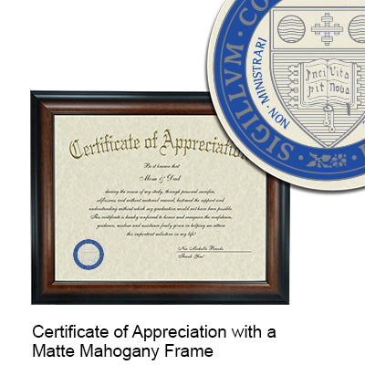 Wellesley College Certificate with Frame