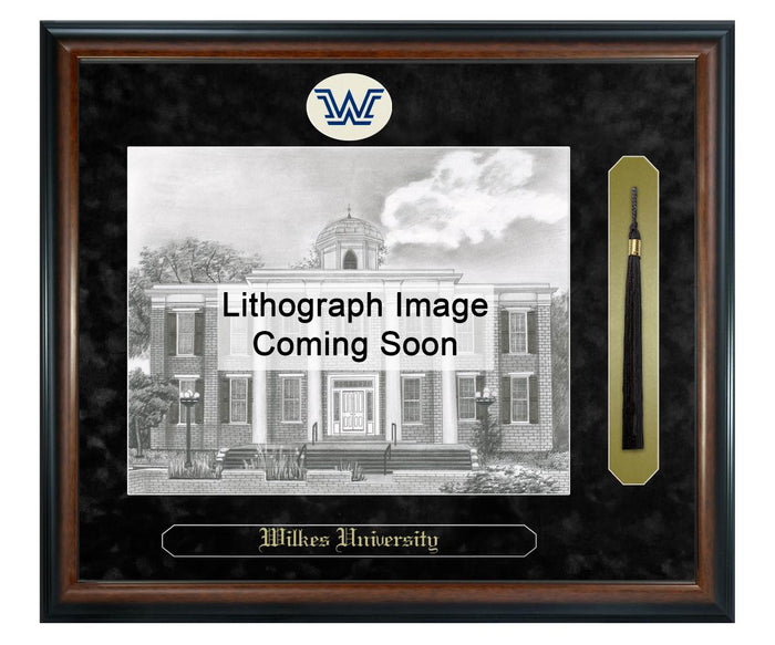 Wilkes University Litho Frame,Diploma Frame (XSNTL)
